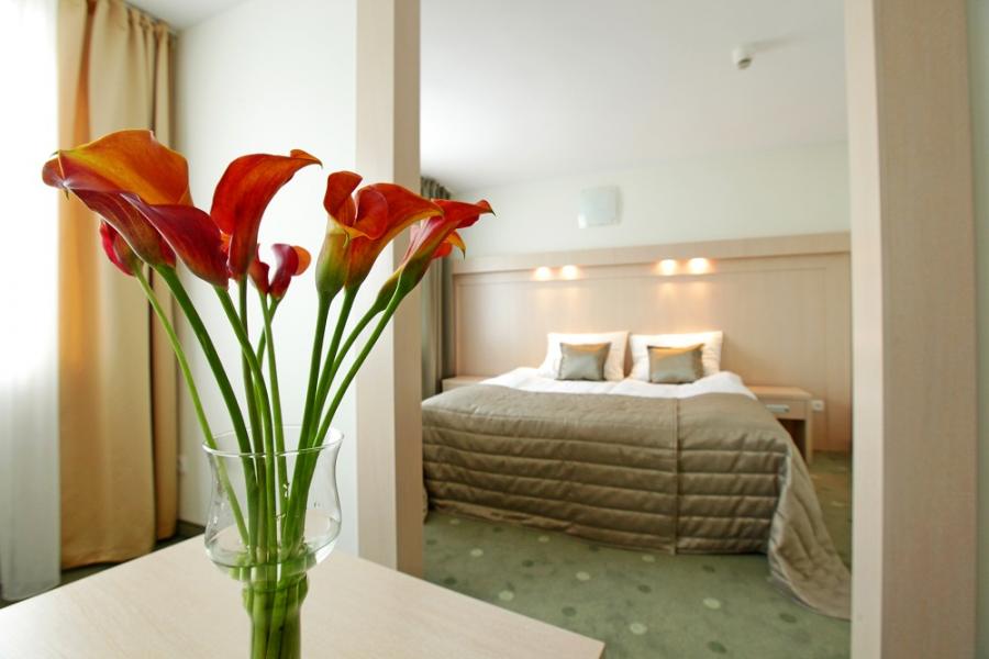 Hotel_Cieplice_Medi_Spa_Bad_Warmbrunn_Doppelzimmer_komfort.jpg